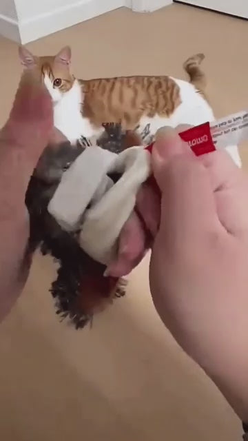 Pajarito Juguete para Gatos